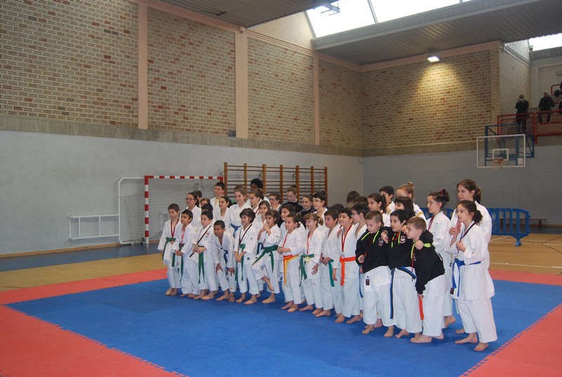 Adaka, Bonafau II y Junbi Taisho, &quot;brillan&quot; en el Campeonato Navarro de Kata Alev&iacute;n, Infantil y Juvenil